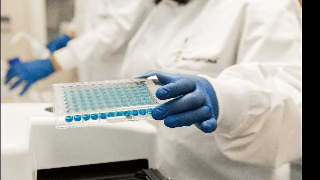 Biofortuna Expands its Immunoassay Development and Manufacturing Services