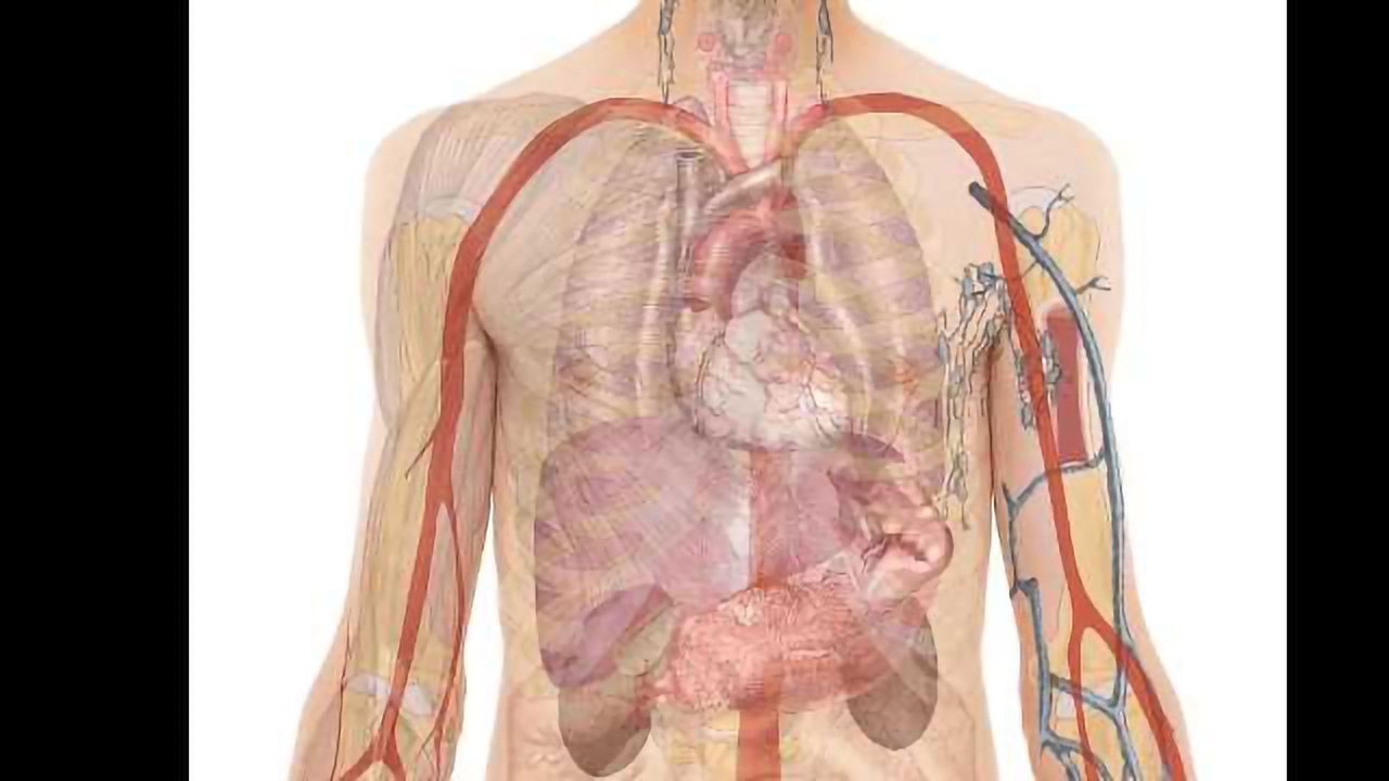 New Biomarkers for Heart and Lung Disease Found