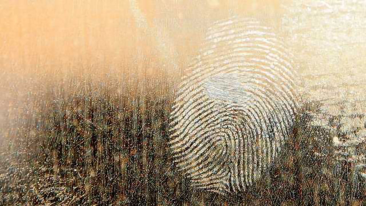 New Guide for Role of DNA in Criminal Investigations