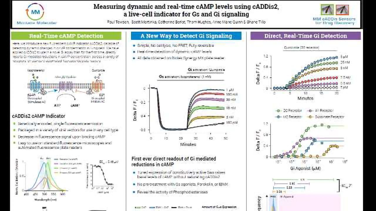 Measuring dynamic and real-time cAMP levels using cADDis2, a live-cell indicator for Gs and Gi signaling