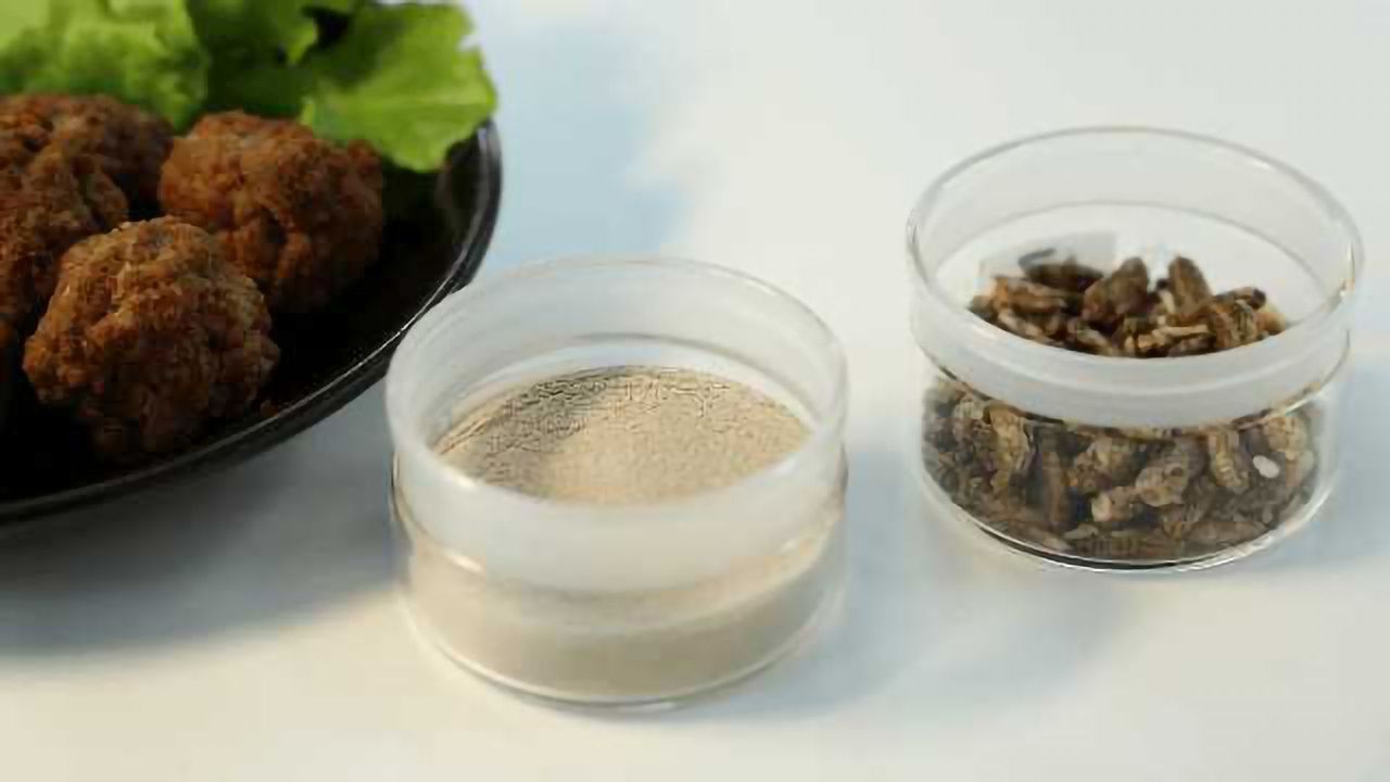 Food Ingredients Developed from Raw Materials