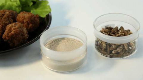 Food Ingredients Developed from Raw Materials