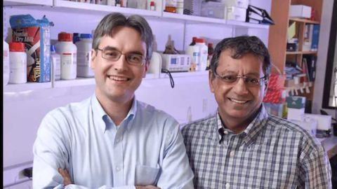 Potential New Target for Treating Glioblastoma