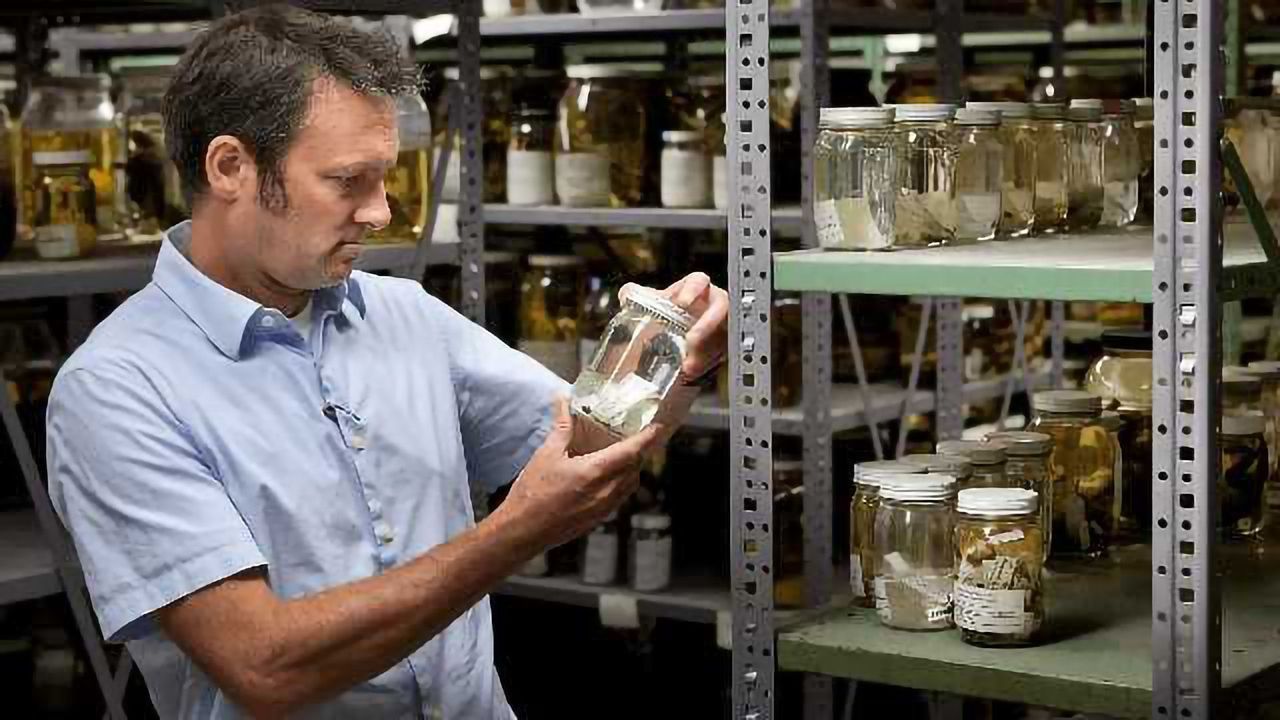 A Way to Sequence DNA of Rare Animals Has Been Discovered