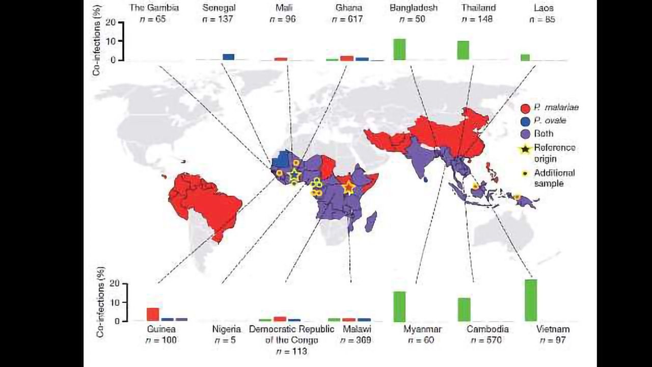 Long Awaited Malaria Reference Genomes Published