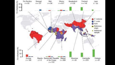 Long Awaited Malaria Reference Genomes Published