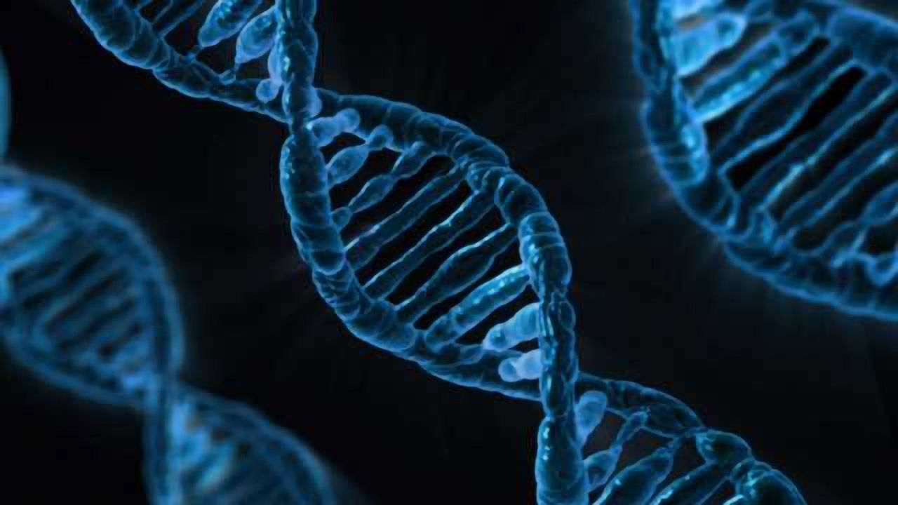 ACMG Issues Statement on Genome Editing in Clinical Genetics