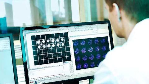 Cellectricon, Censo Biotechnologies Introduce Joint Technology Access Program