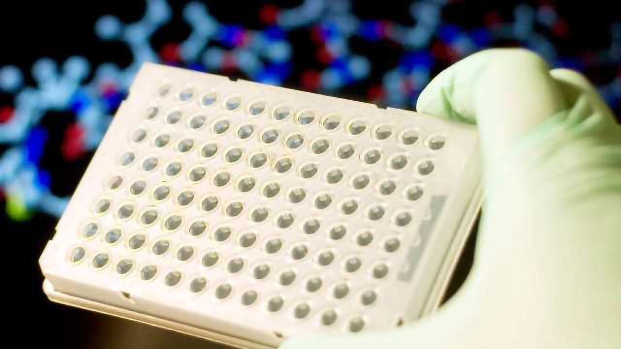 New Techniques for Toxicological Assessment Highlighted