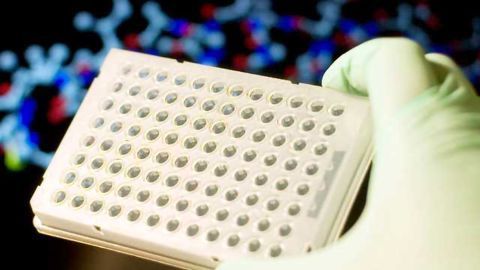 New Techniques for Toxicological Assessment Highlighted