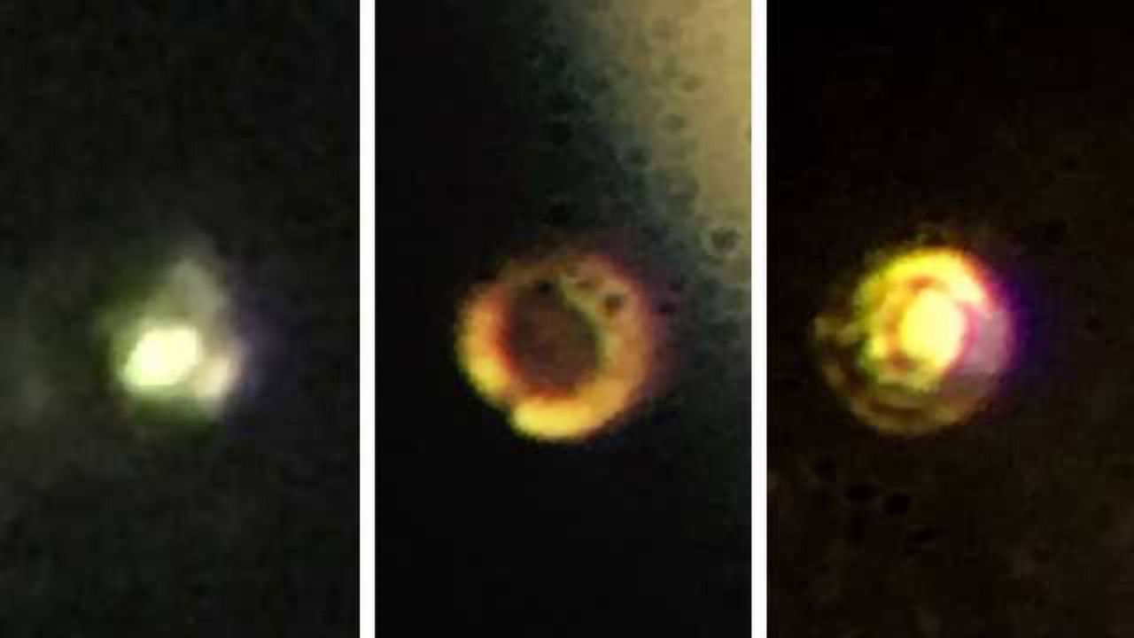 Harvard Scientists Have Created the Rarest Material on the Planet