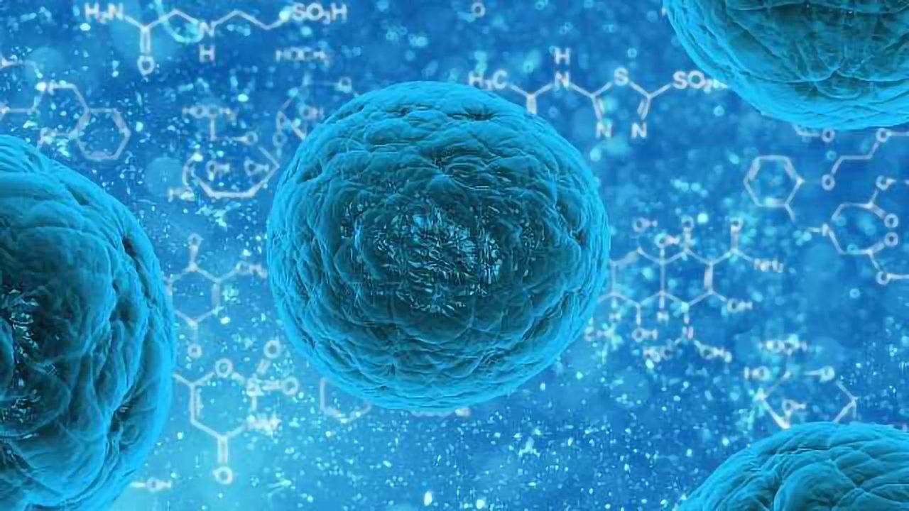 Essential Gene for Chemically Reprogramming Human Stem Cells