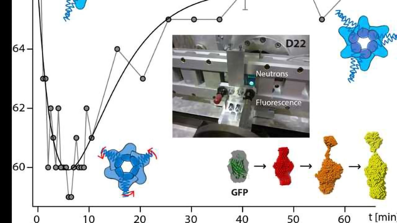 Neutron Scattering Provides New Insight into Protein Substrate Processing
