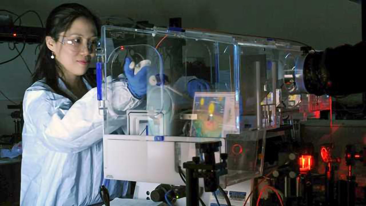 New Tool to Monitor How Cells Attach to a Substrate