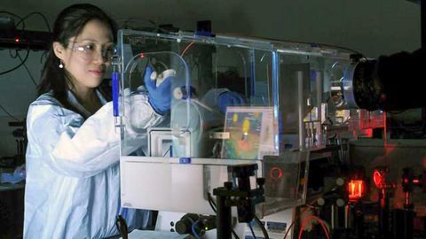 New Tool to Monitor How Cells Attach to a Substrate
