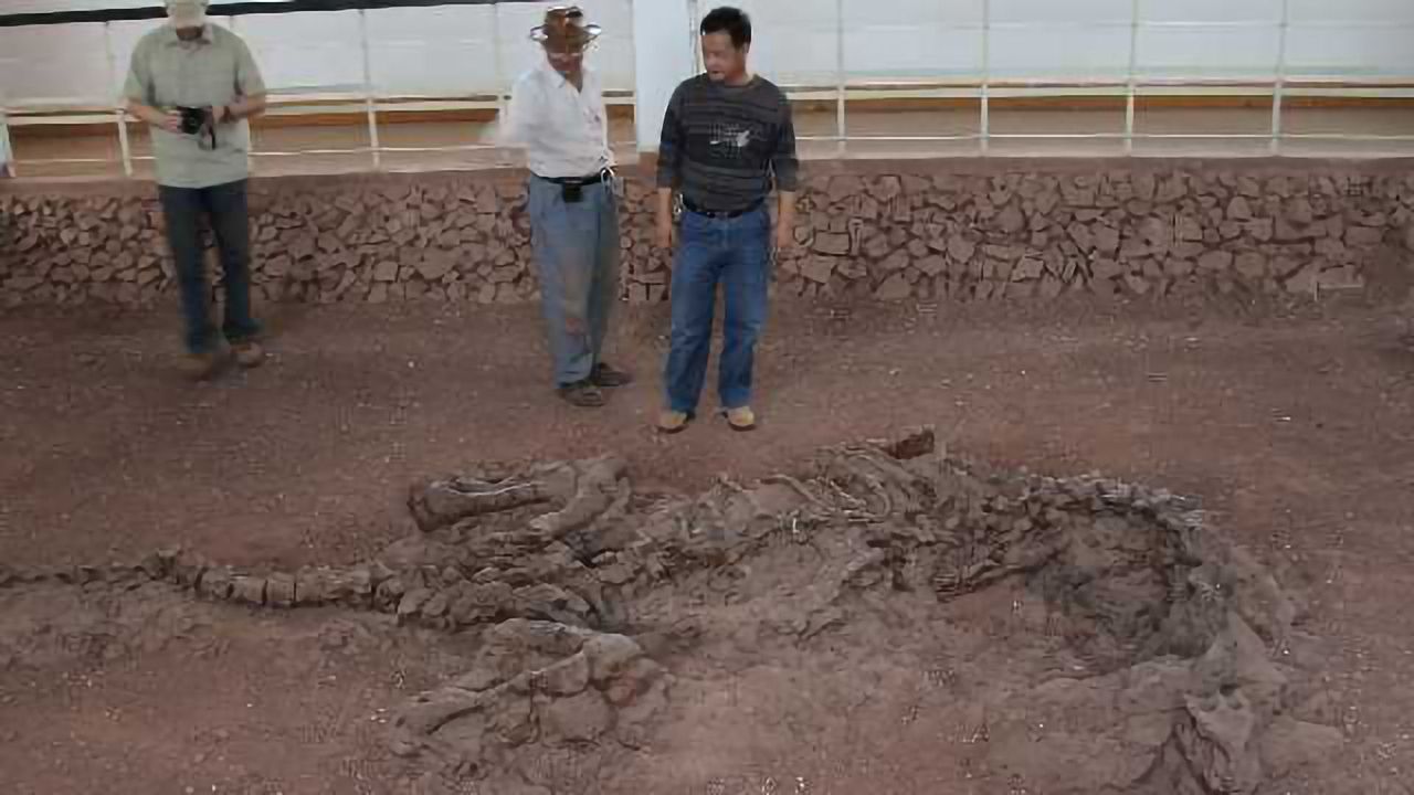 Proteins Preserved Within 195-Million-Year-Old Rib of Sauropodomorph Dinosaur