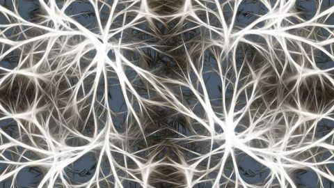 Stem Cell Transplants To Improve Multiple Sclerosis Outcomes