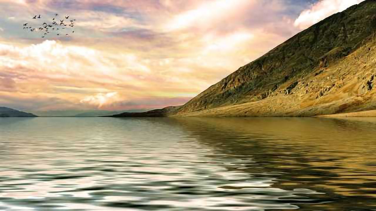 Algae Defence Mechanism Can Inhibit Marine Fouling