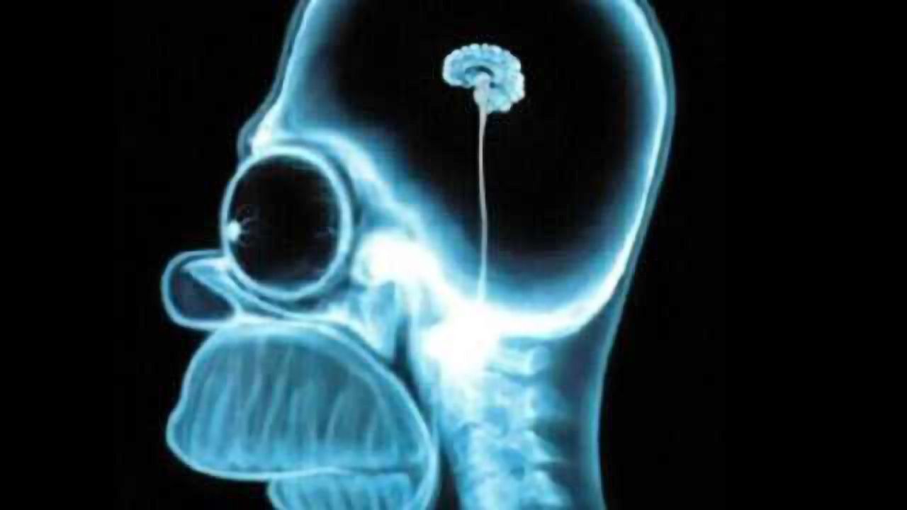 Synapses Are Scaled Down During Sleep