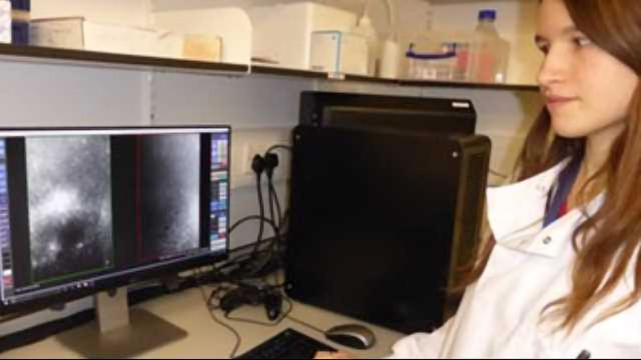Advancing Cellular Imaging Techniques with the Nanoimager