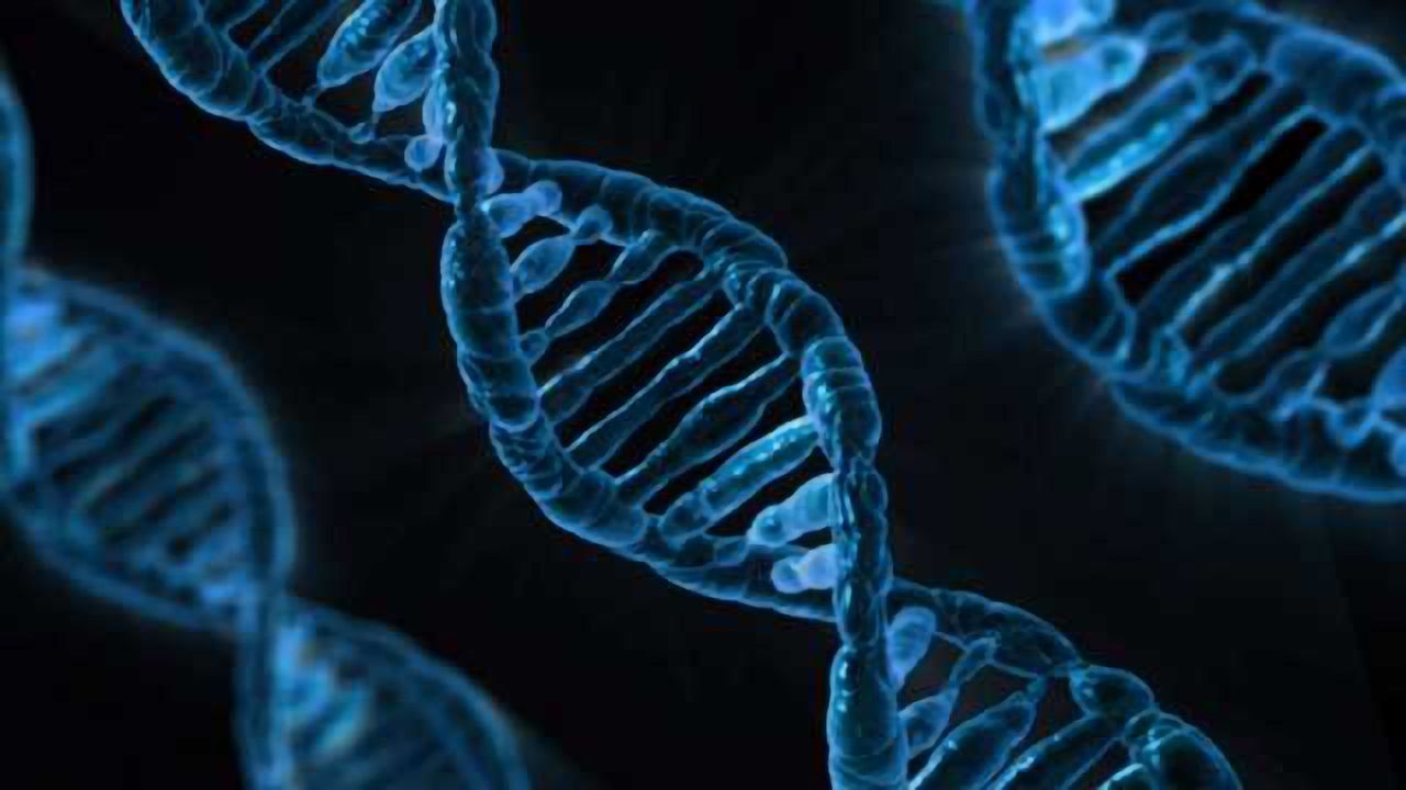 Protagen Partners with the National Cancer Institute for Biomarker Research