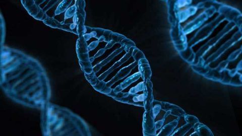 Protagen Partners with the National Cancer Institute for Biomarker Research