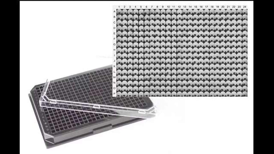 InSphero to Introduce GravityTRAP™ 384 Microtissue Platform at SLAS2017 content piece image