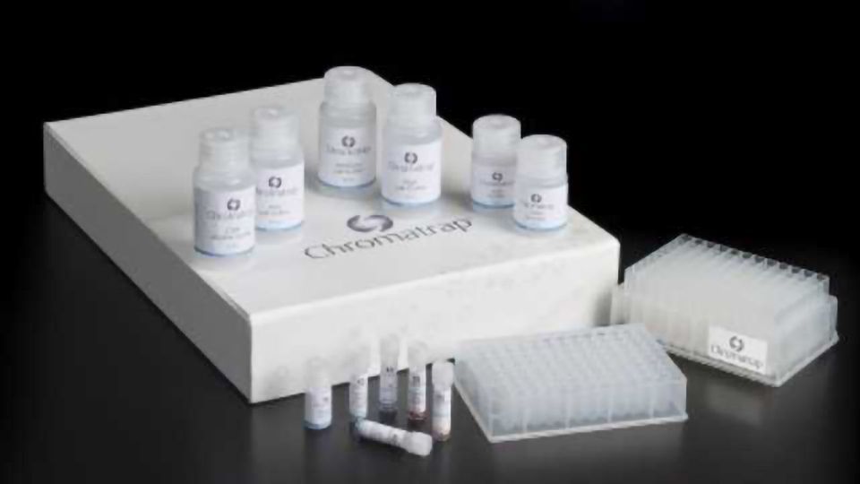 High Through DNA Purification In Less than 5 Minutes content piece image