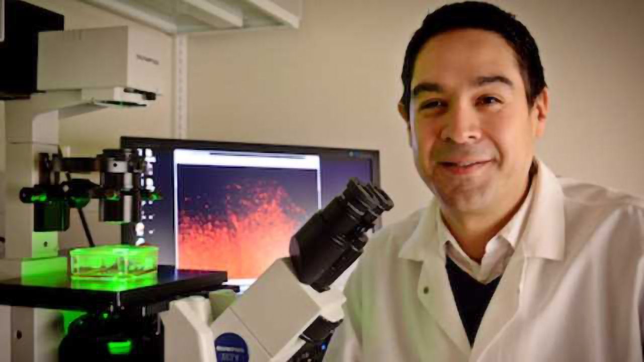 A Step Towards Improved Glioblastoma Treatment