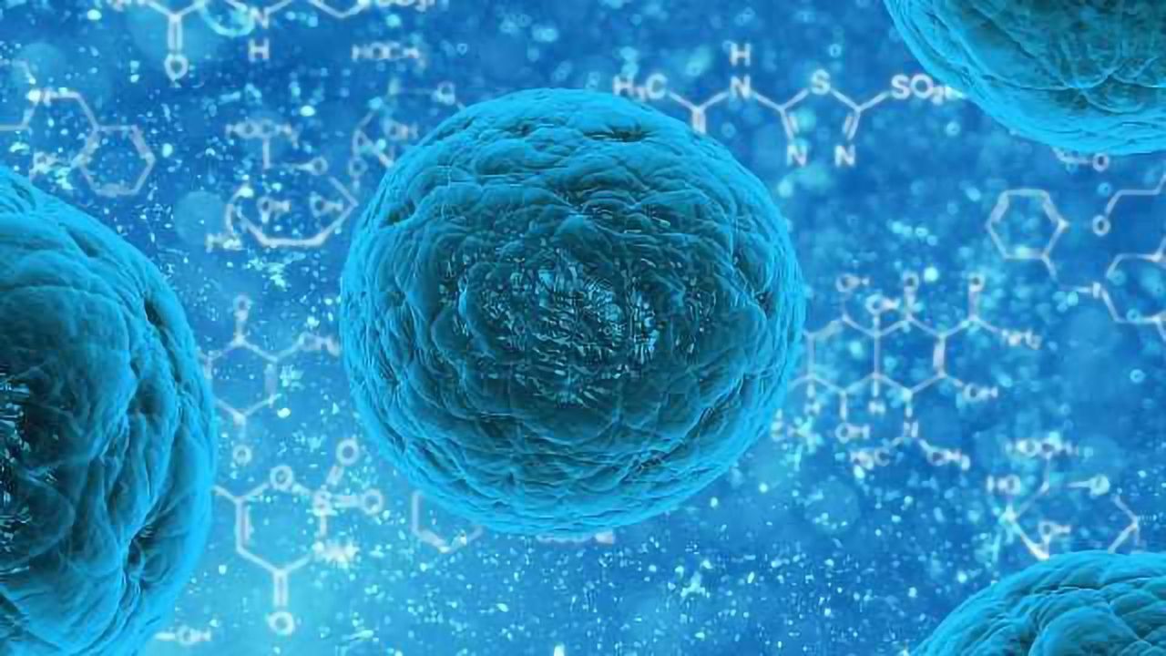 Thyrocytes Engineered from Embryonic Stem Cells