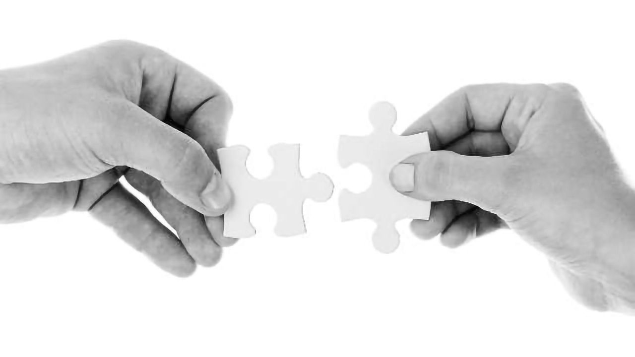 Molecular Devices, MIMETAS Sign Co-marketing Agreement