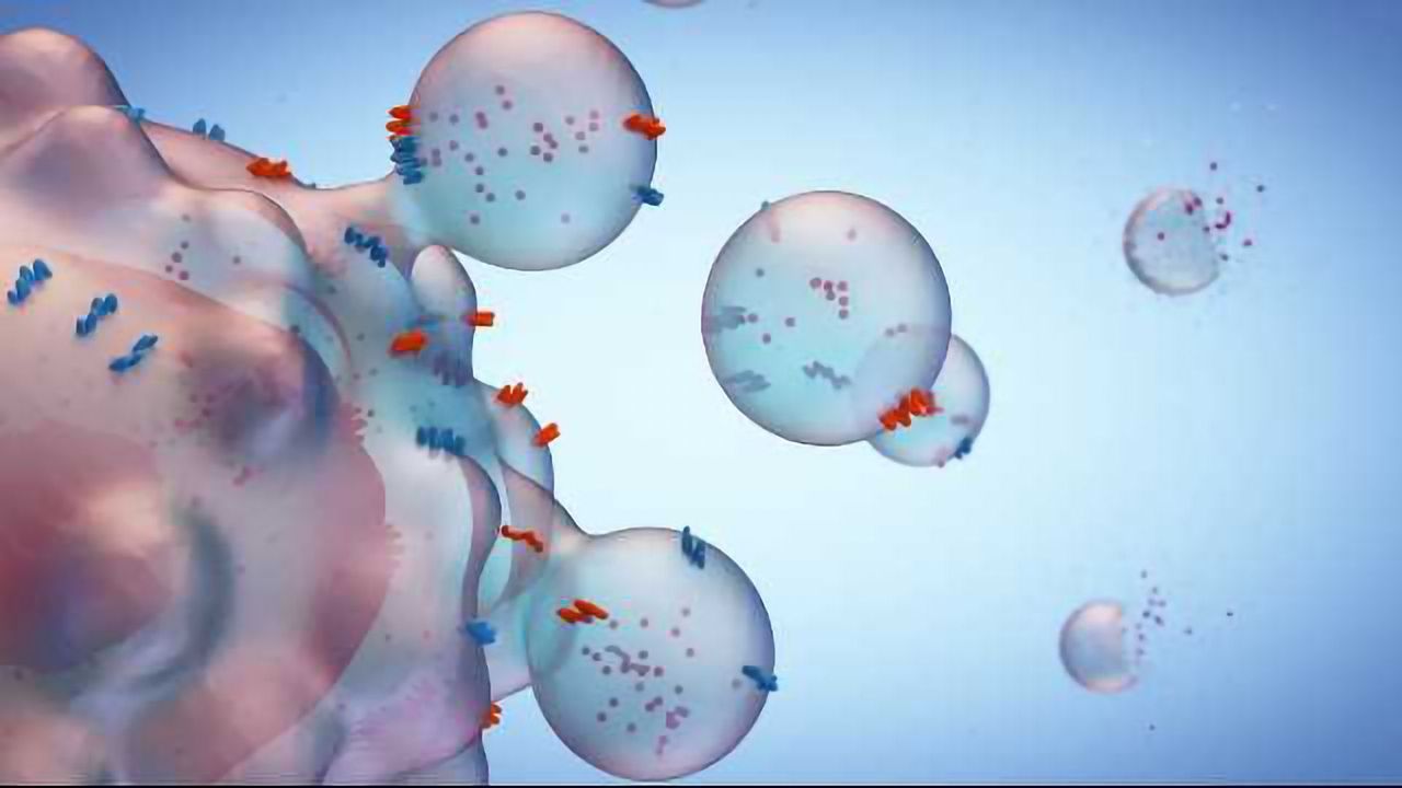 A New Diagnostic for Pancreatic Cancer