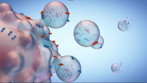 A New Diagnostic for Pancreatic Cancer