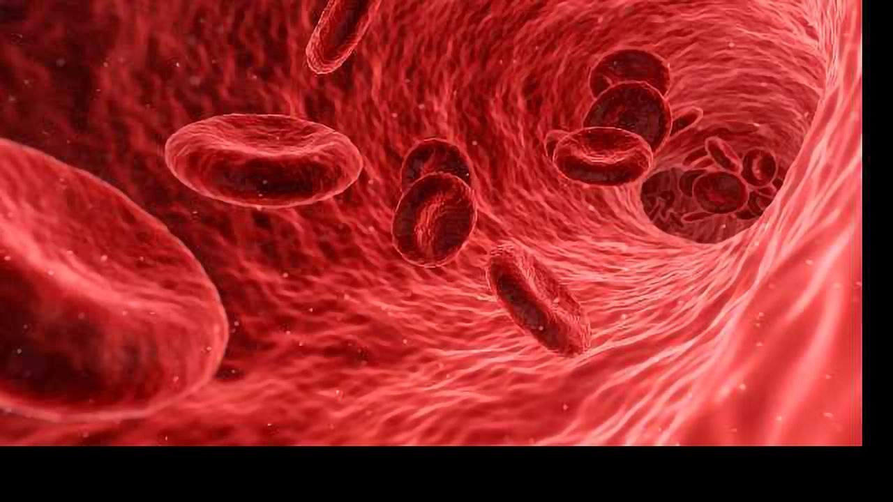 New LC-MS Workflow For Clinical Research From Thermo Fisher