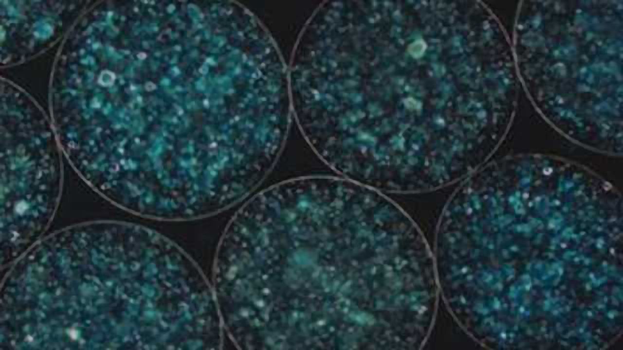 3D Spheres Could Advance TB Research