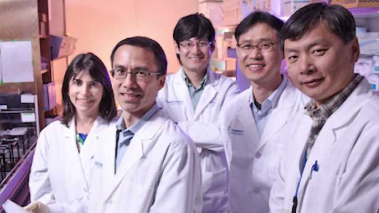 Anticancer Agent Could Also Prevent Heart Failure