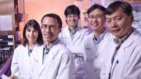 Anticancer Agent Could Also Prevent Heart Failure