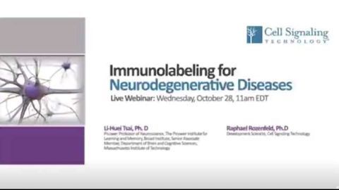 Deciphering the Molecular Pathology of Alzheimer’s Disease