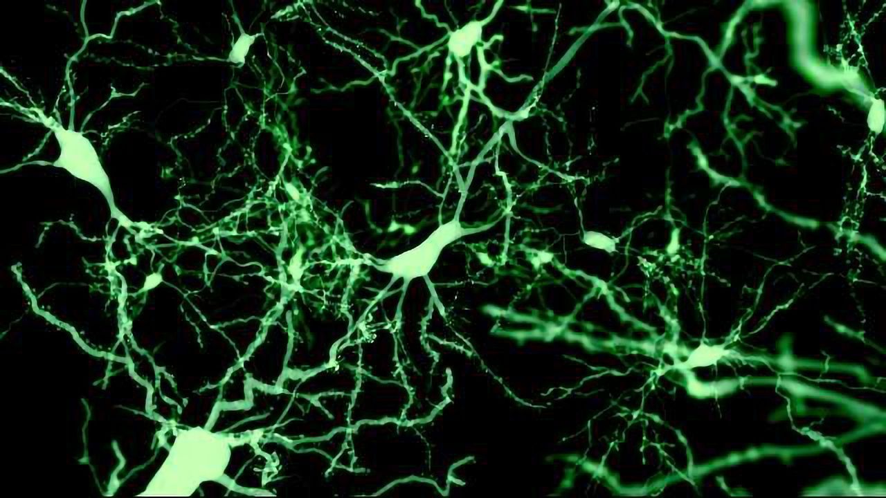 Cutting Edge Tools For Neuroscience Research