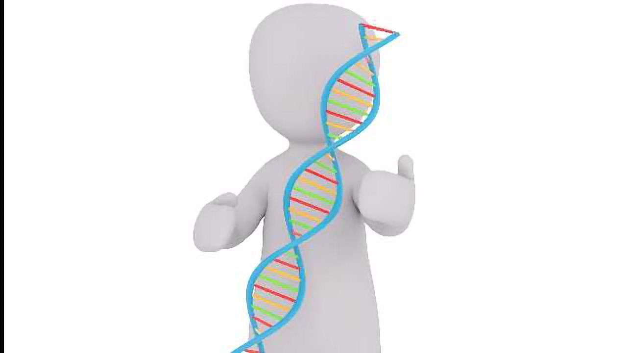 Protein Essential for Healthy Gut Cells Identified