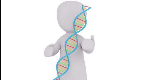 Protein Essential for Healthy Gut Cells Identified