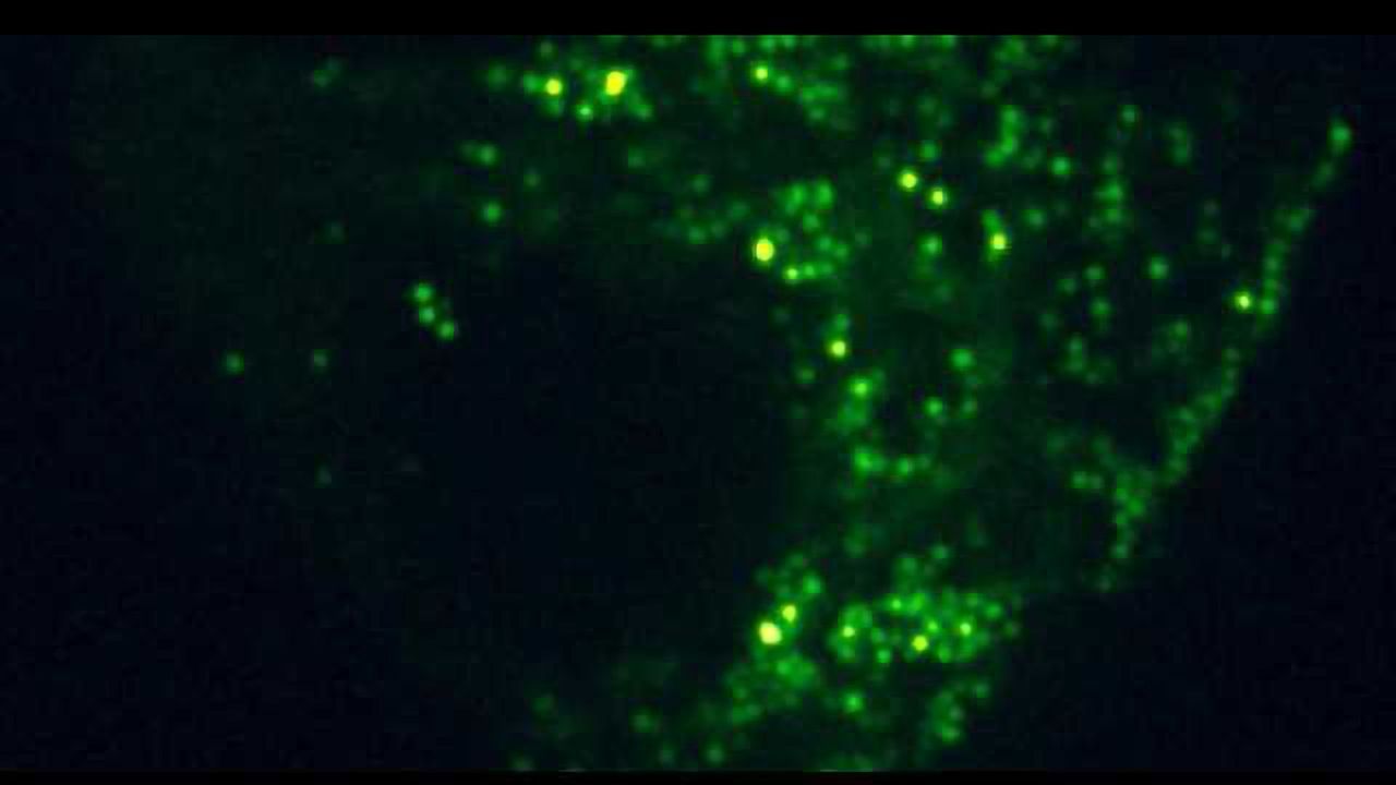 New Method to Improve Accuracy of Imaging Systems