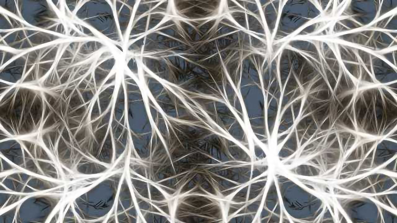 Neuronal Differentiation of hPSC-Derived Neural Progenitor Cells
