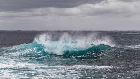 Ocean Has Absorbed More Carbon Over the Past Decade