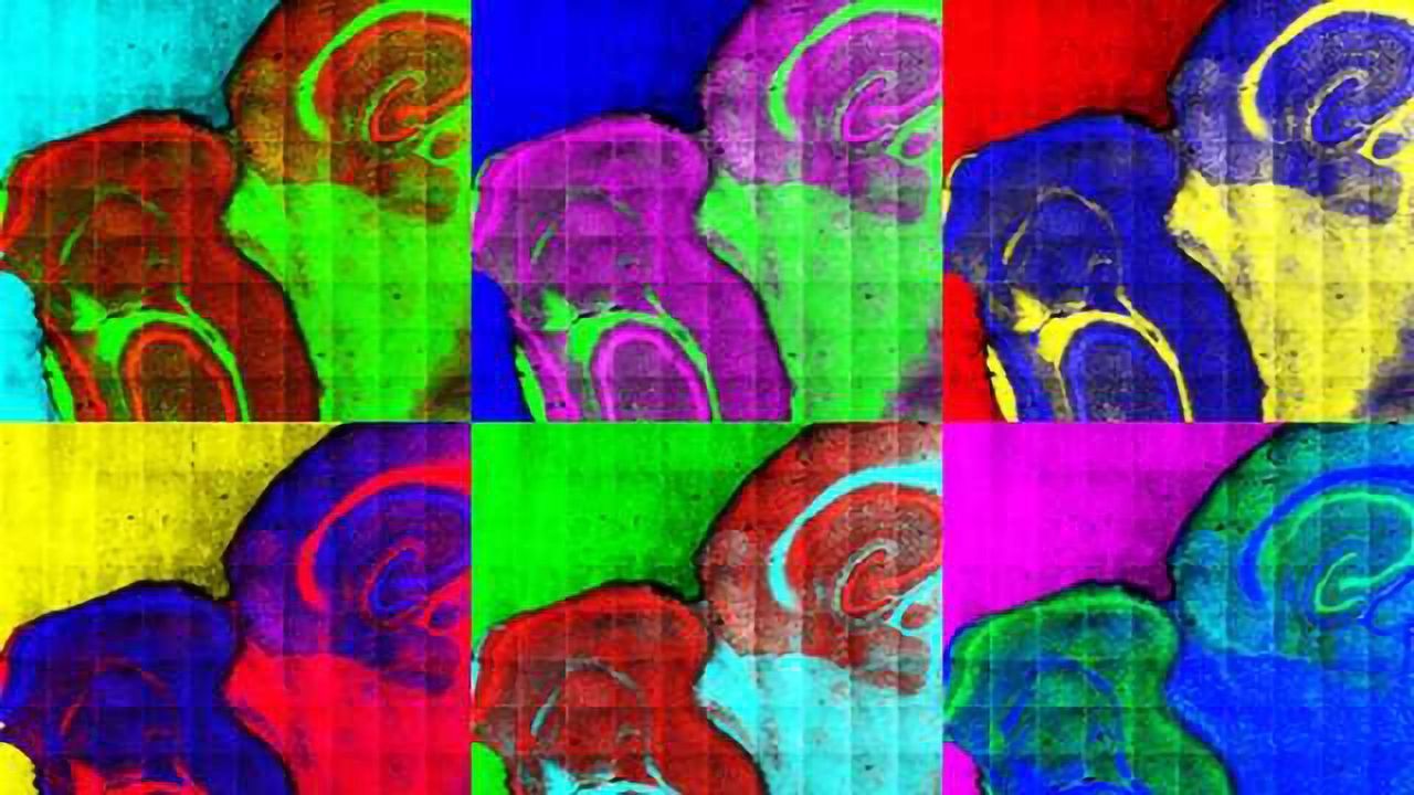 A New Piece in the Cancer Puzzle