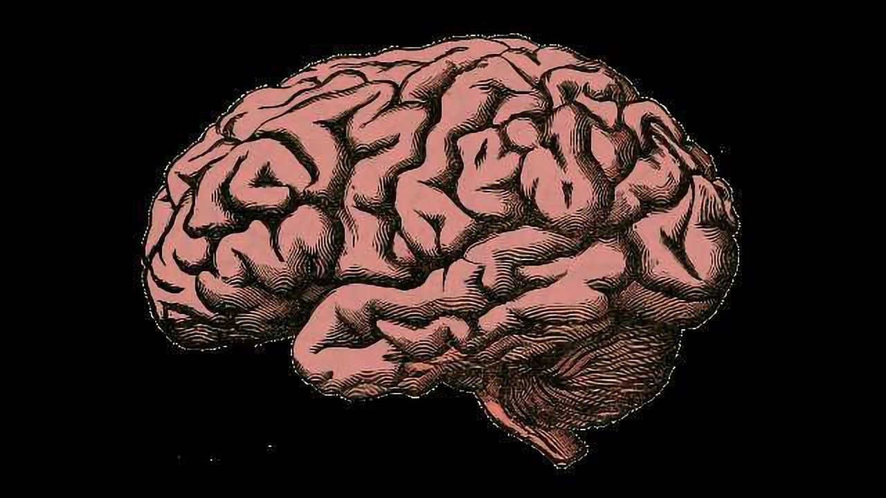Designer Compounds To Treat Dementia