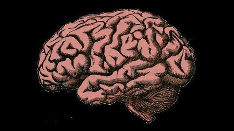 Designer Compounds To Treat Dementia