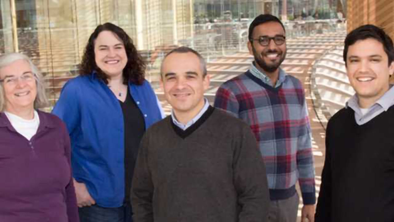 Studies Point Way to Precision Therapies for Common Genetic Disorders