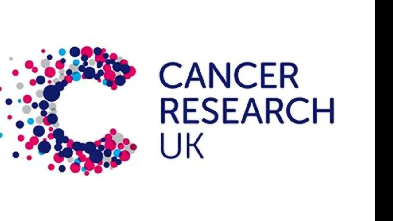 Virtual Reality Journey Through A Tumour