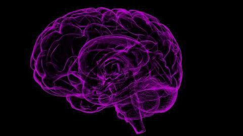 Similarities In Internet And Brain Computation